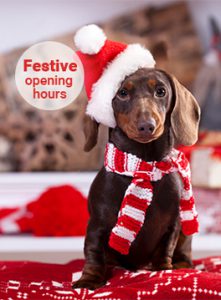 Festive opening hours