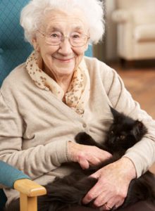 Elderly woman and cat